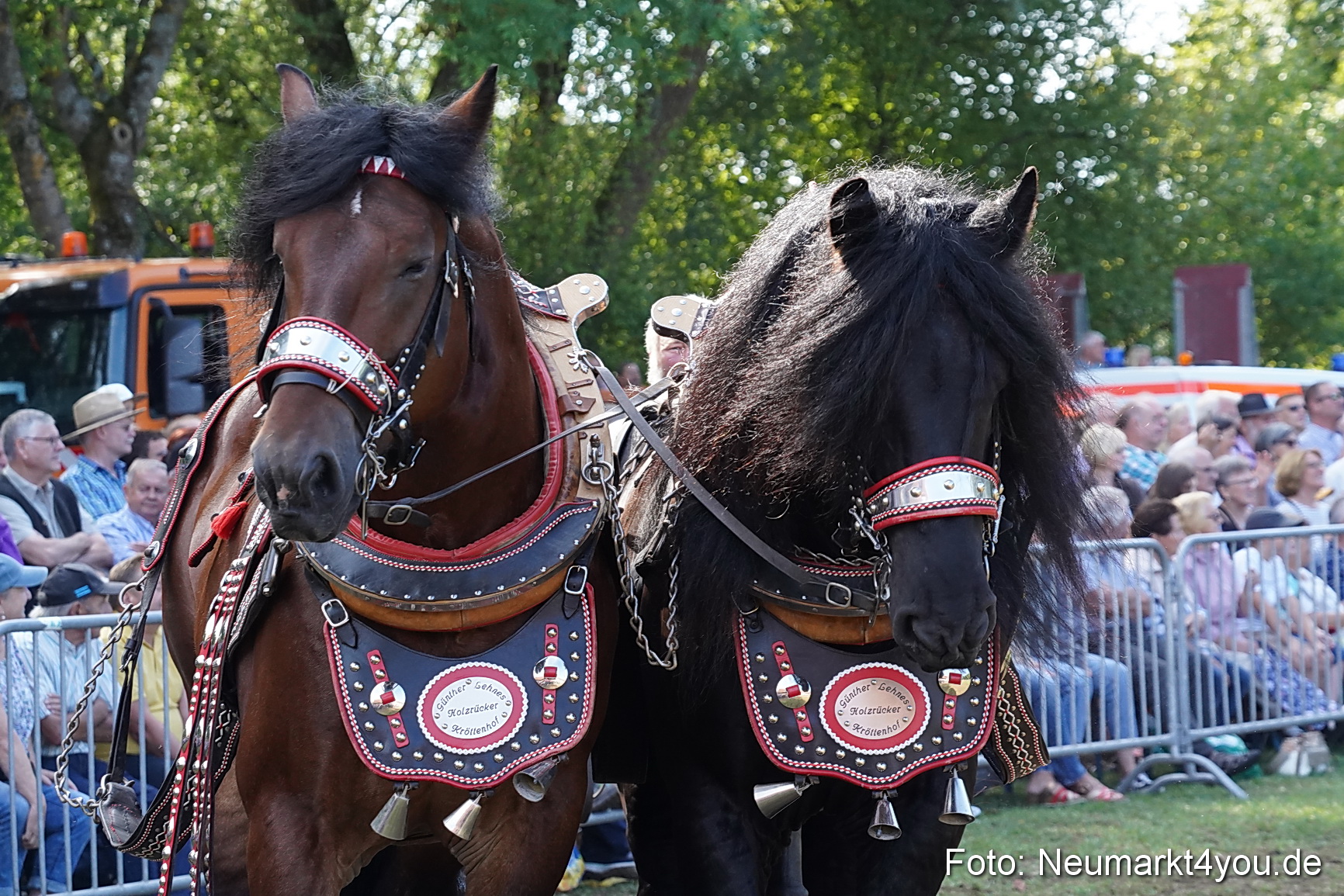 Pferde und Fohlenschau 2022 0178 